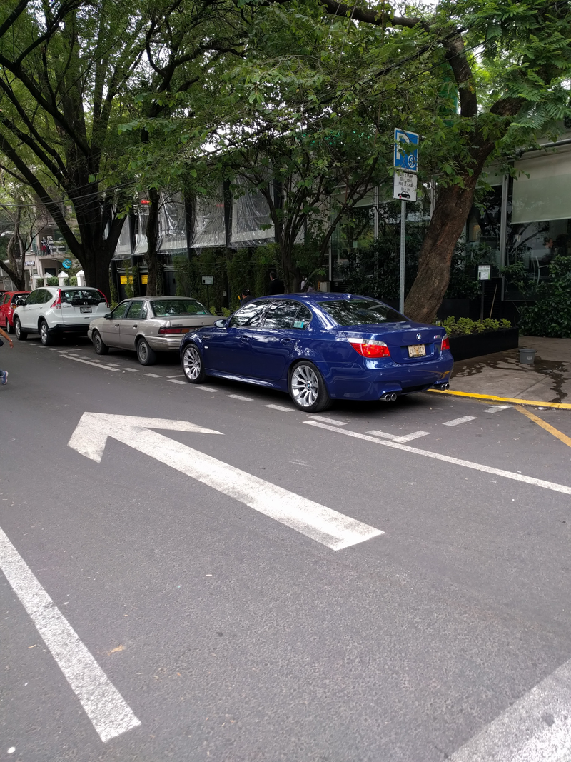 Illustration for article titled What will Oppo drive to work today (includes a photodump)